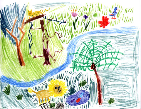 Rain Forest